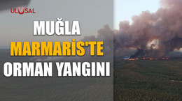 Muğla Marmaris'te orman yangını